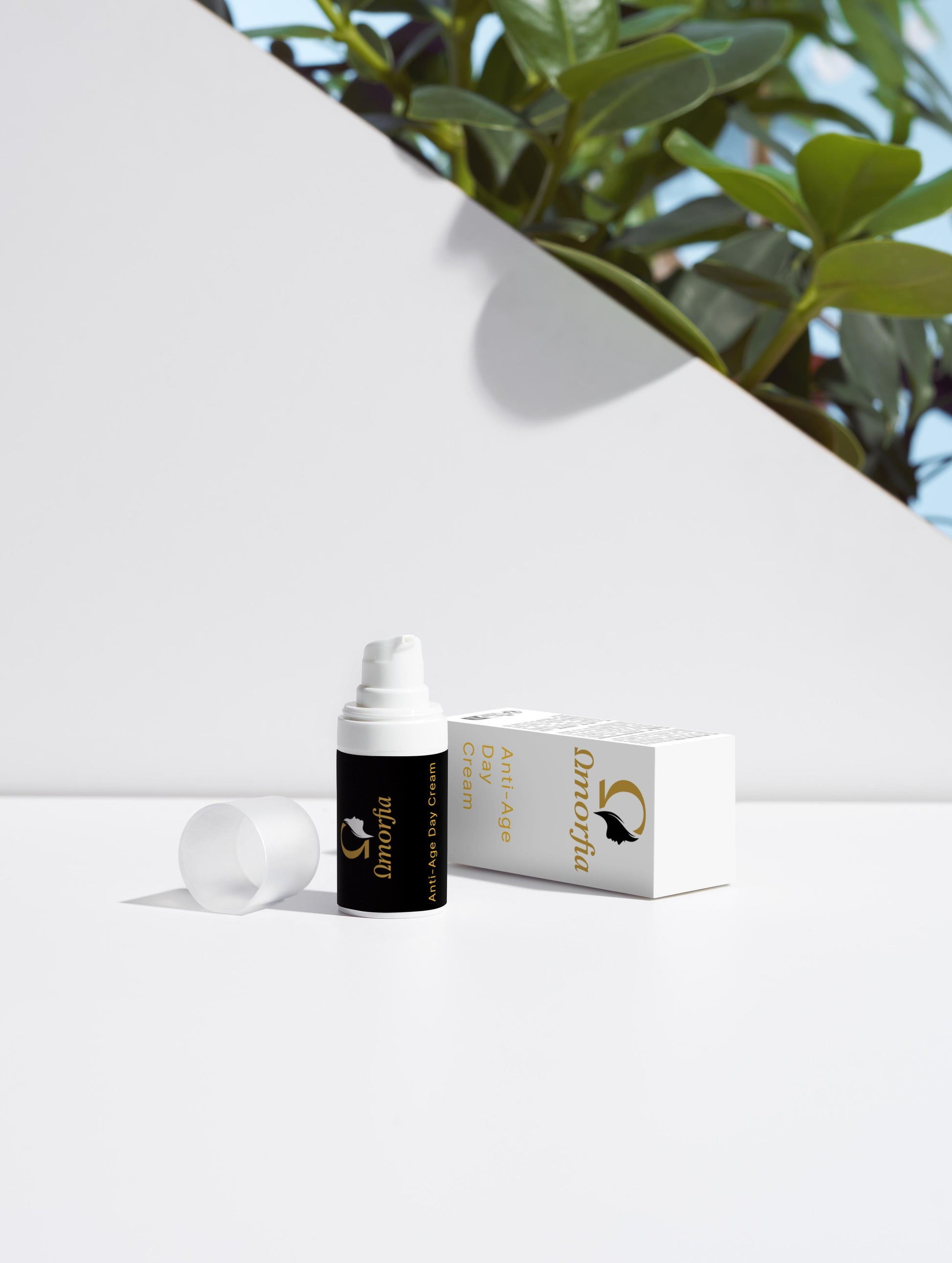 Timeless Radiance Collection Box