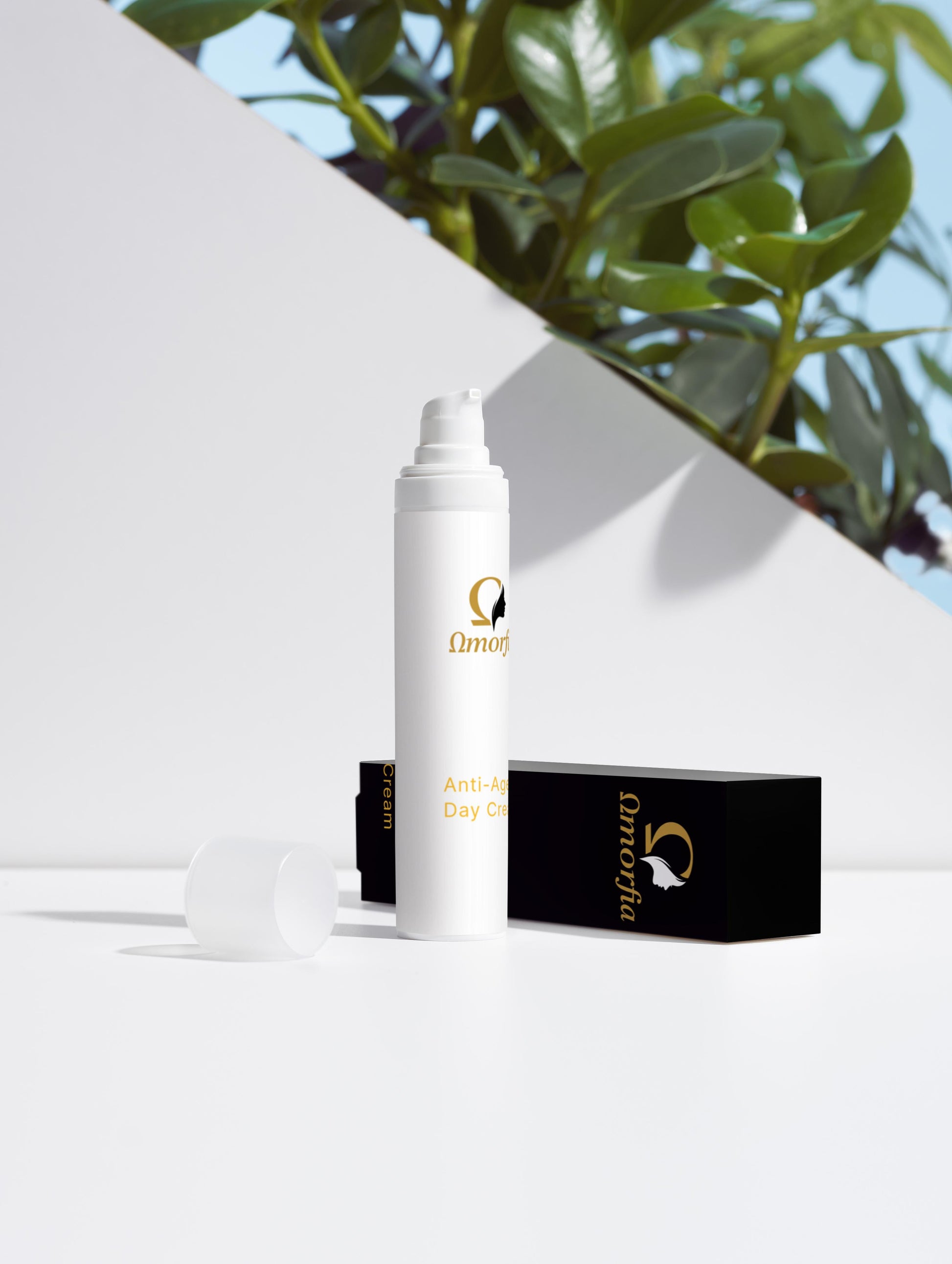 Anti-Ageing Collection Box