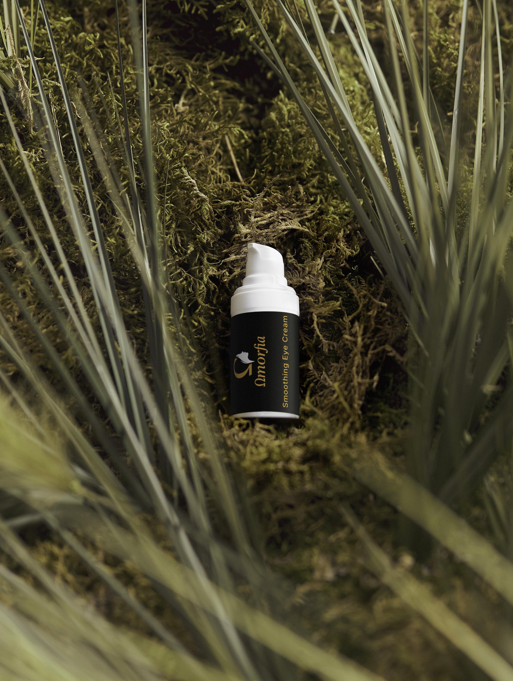 Anti-Ageing Collection Box