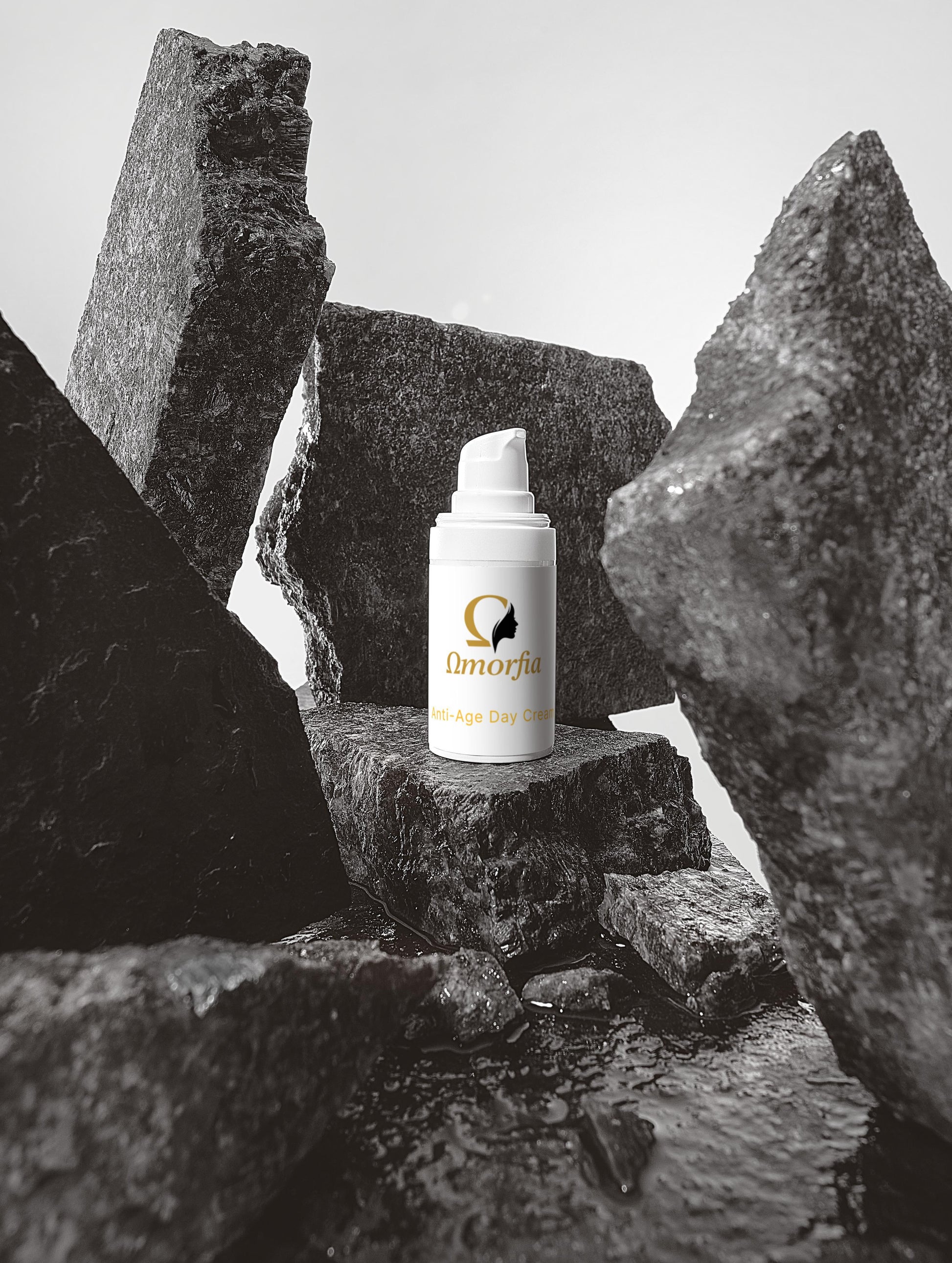 Timeless Radiance Collection Box