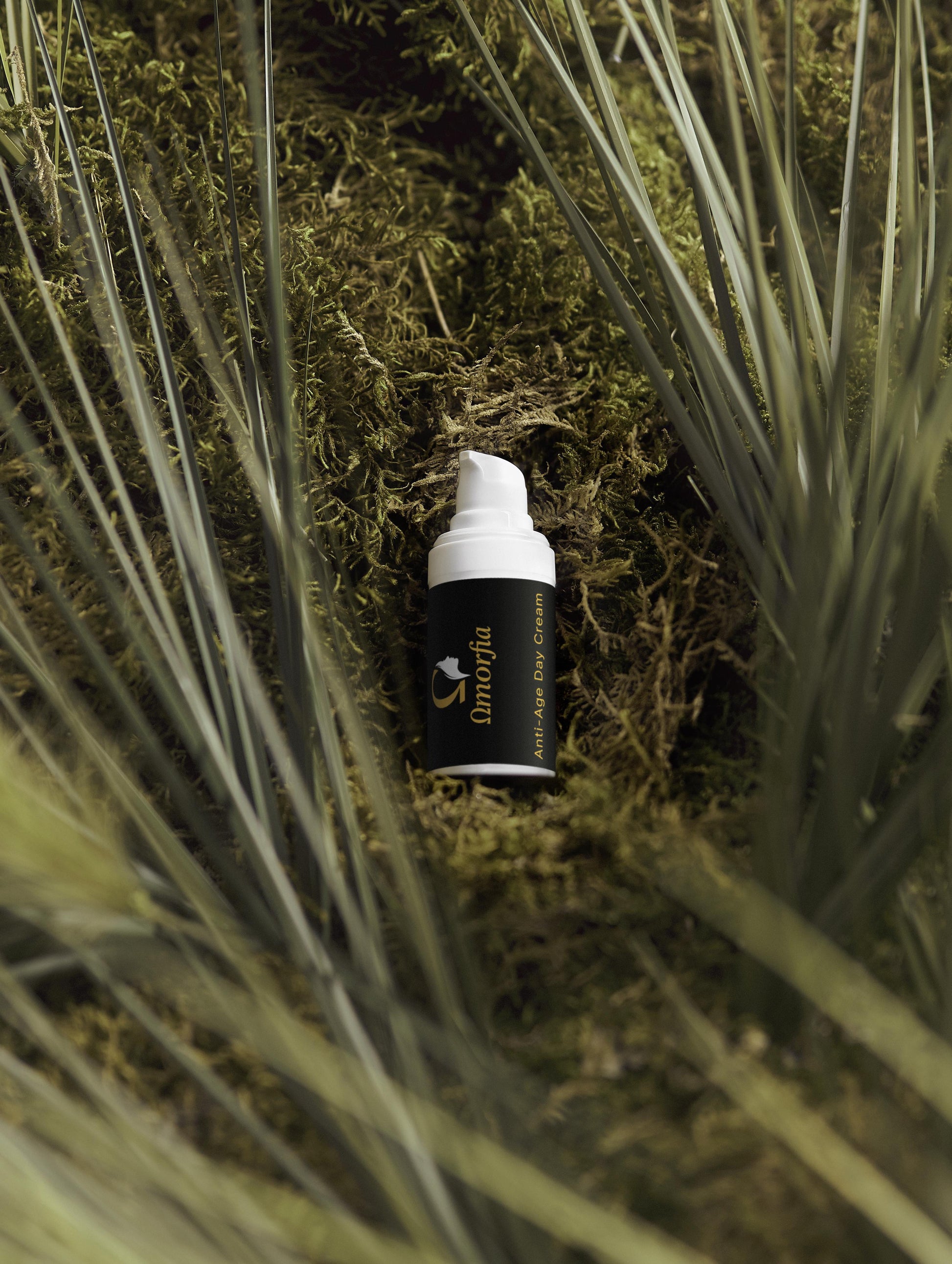 Timeless Radiance Collection Box