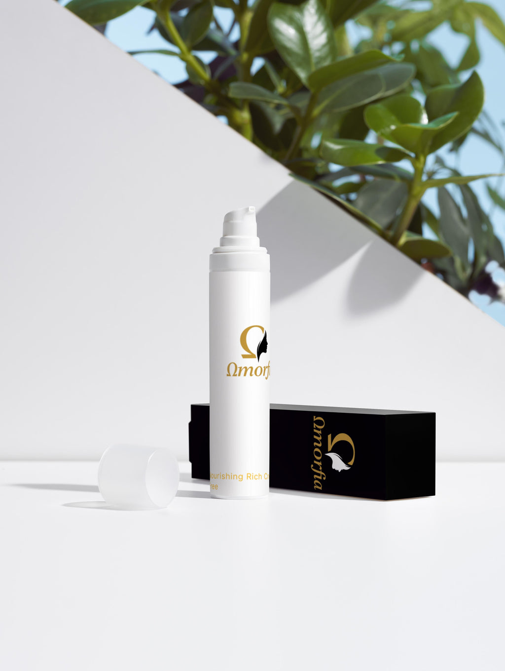 Deep Moisture Collection Box