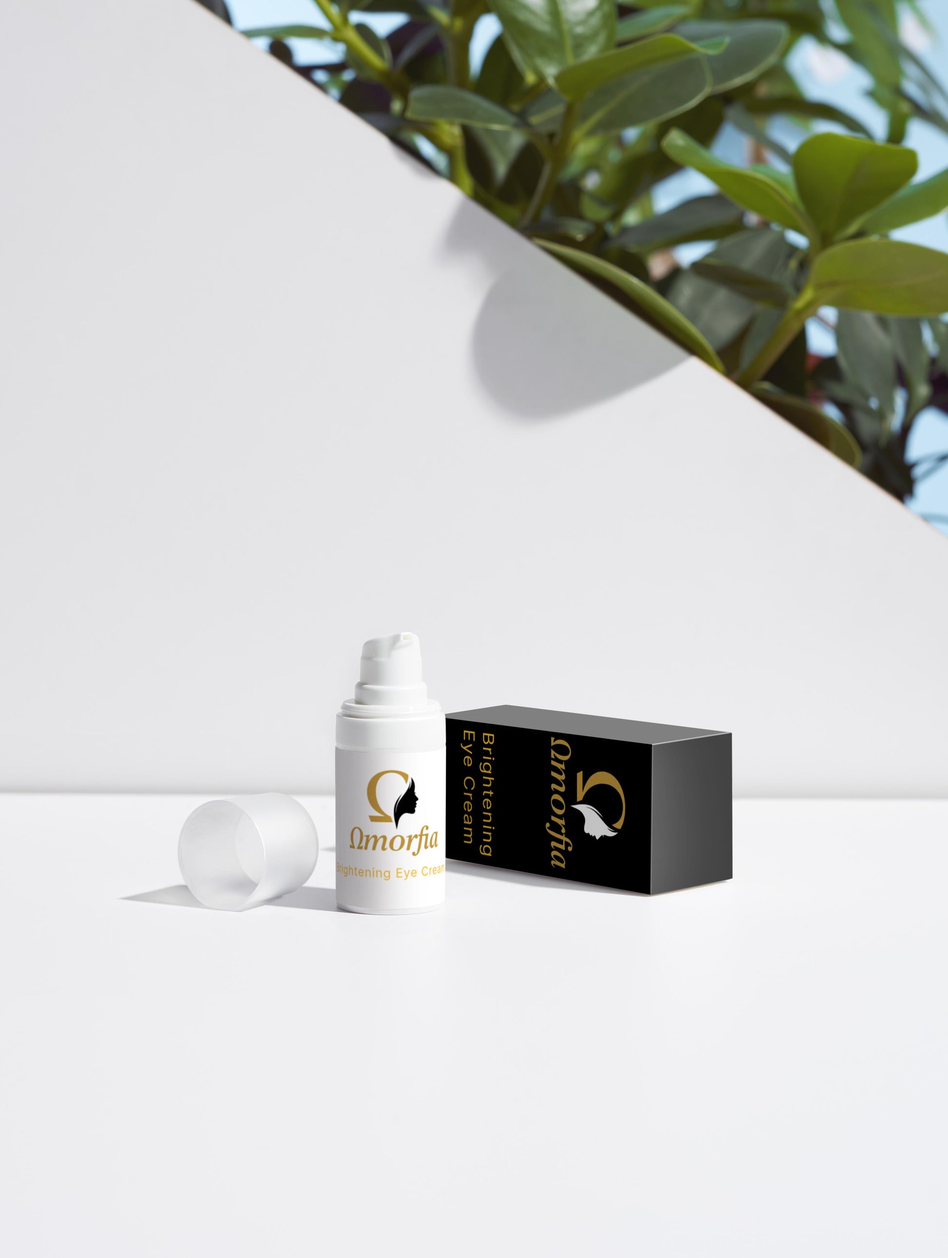 Rejuvenating Glow Collection Box